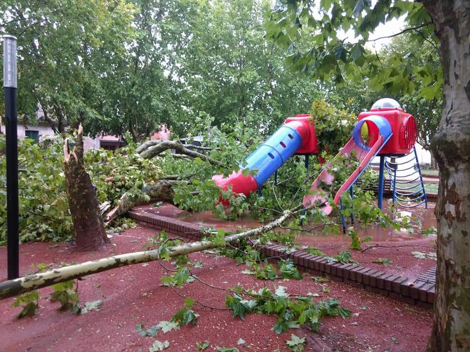 RANCHOS: Fuerte temporal ocasionó destrozos en la ciudad 8
