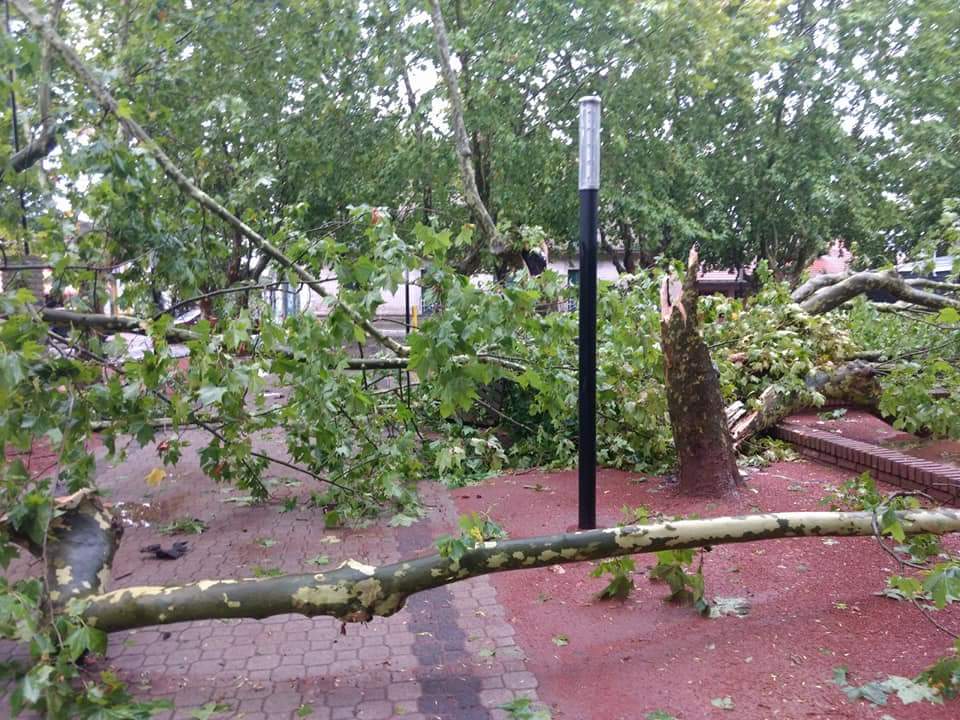 RANCHOS: Fuerte temporal ocasionó destrozos en la ciudad 9