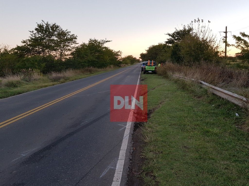BRANDSEN: Accidente fatal en ruta 29 6