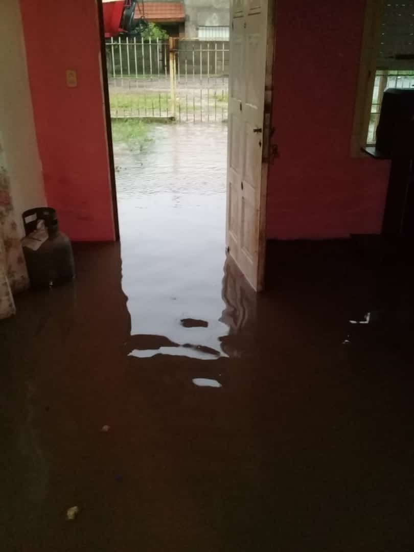 BRANDSEN: Inundaciones, voladuras de techos, caída de árboles y evacuados 29
