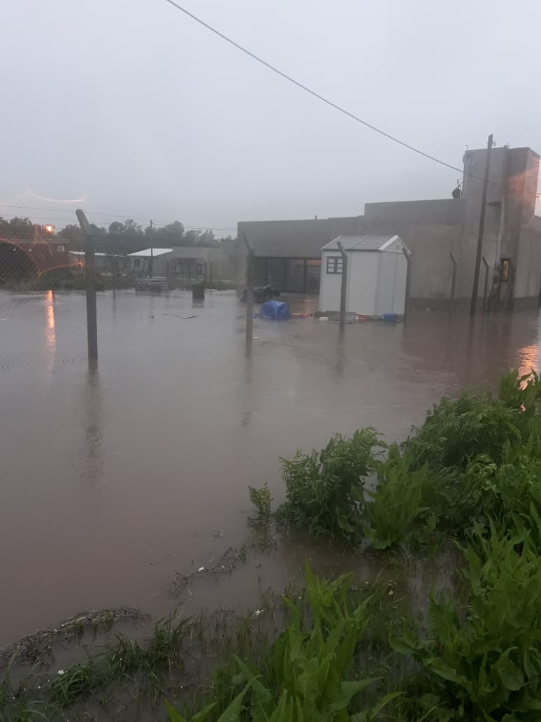 BRANDSEN: Inundaciones, voladuras de techos, caída de árboles y evacuados 33