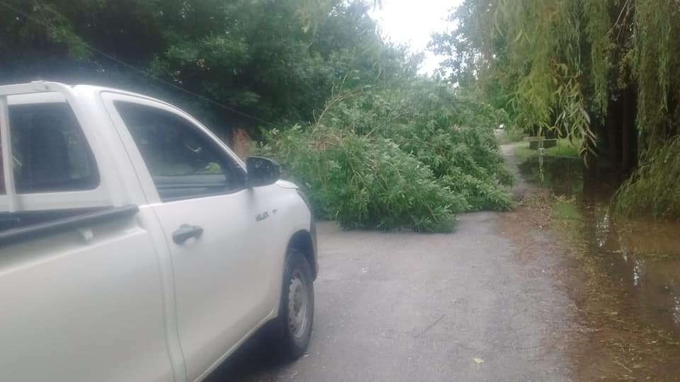 REGIÓN: Destrozos tras el temporal. Pérdidas materiales, caídas de árboles y voladuras de techos 8