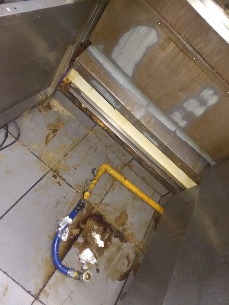 LA PLATA: Ratas y cucarachas. Clausuraron un Mc Donald's por suciedad 4