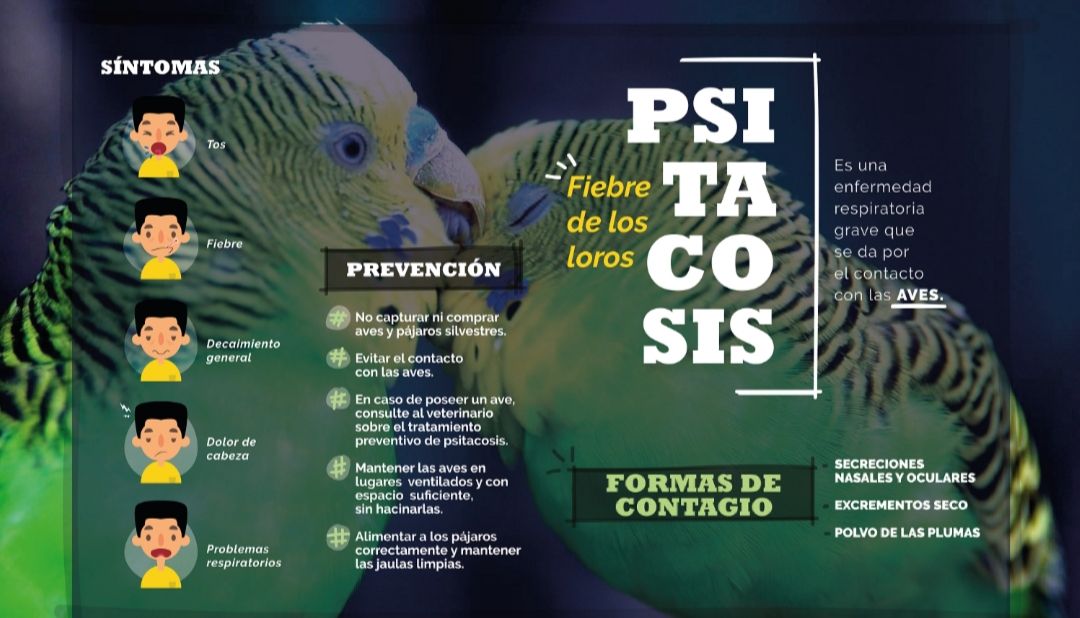 BRANDSEN: Se confirmó un caso de Psitacosis en una joven de San Vicente 7