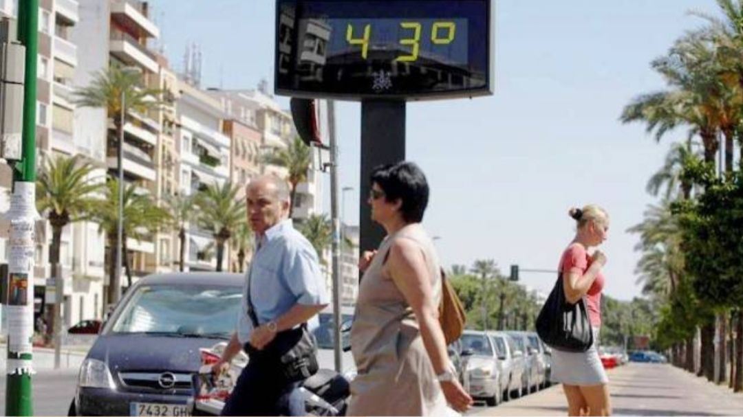 Alerta por Ola de Calor: "Hoy martes va a ser peor" 6