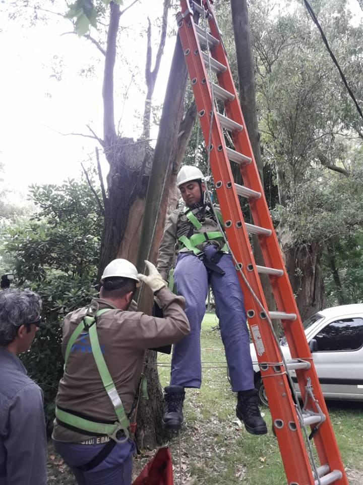 SAN VICENTE: Entregaron certificados a graduados del curso "Redes de distribución eléctrica" 8