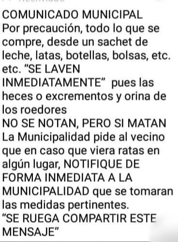 REGIÓN: Desmienten "Comunicado Municipal" alertando sobre Hantavirus 4