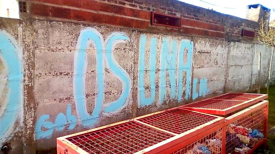 Indignación por pintadas políticas en un Club Social Deportivo de Brandsen 4