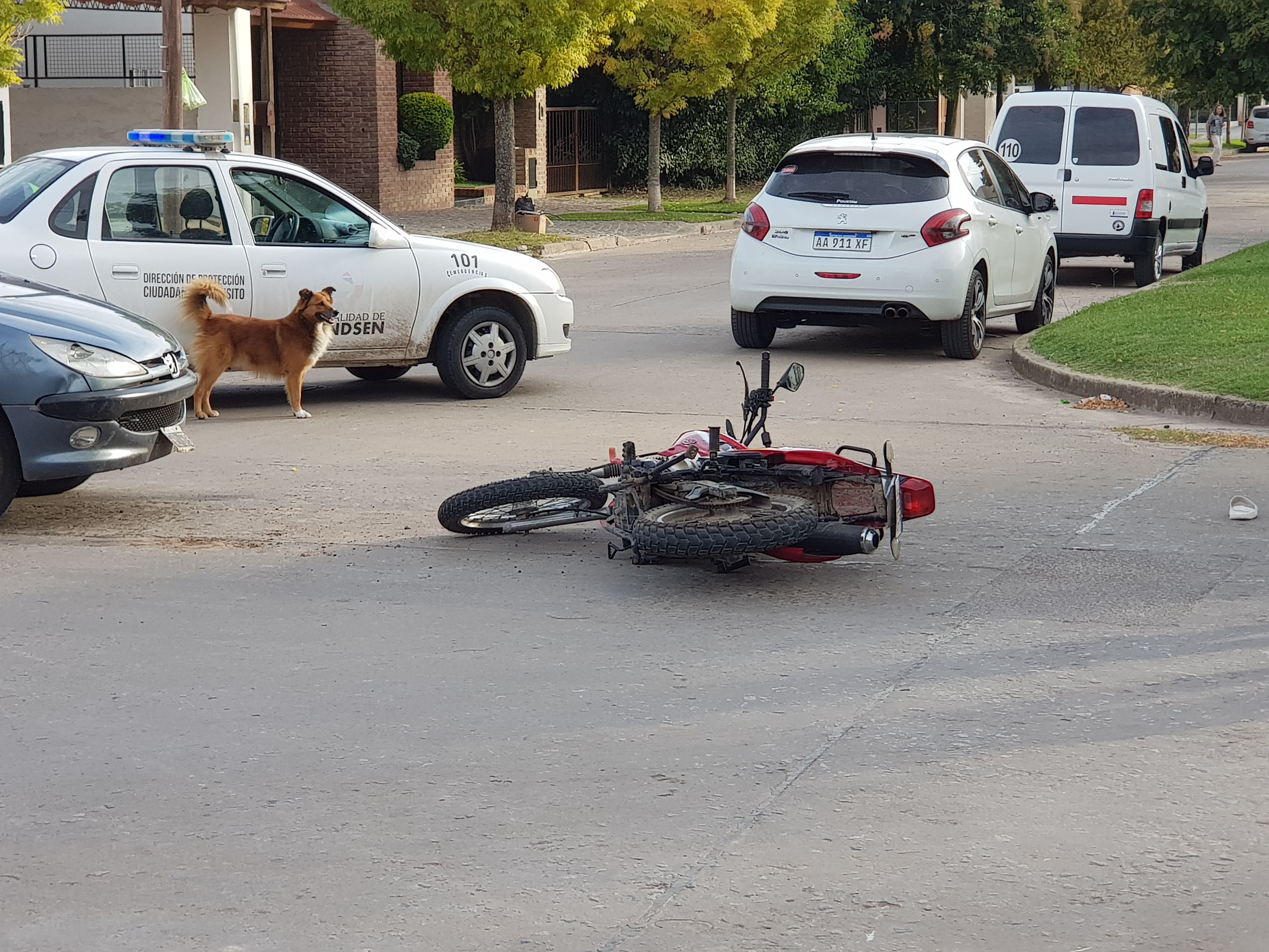 Accidente entre un auto y una moto en el centro de la ciudad de Brandsen: un herido 4