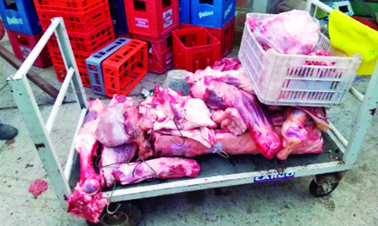 LOBOS: Clausuraron supermercado "El Cencerro" por vender carne en mal estado 7