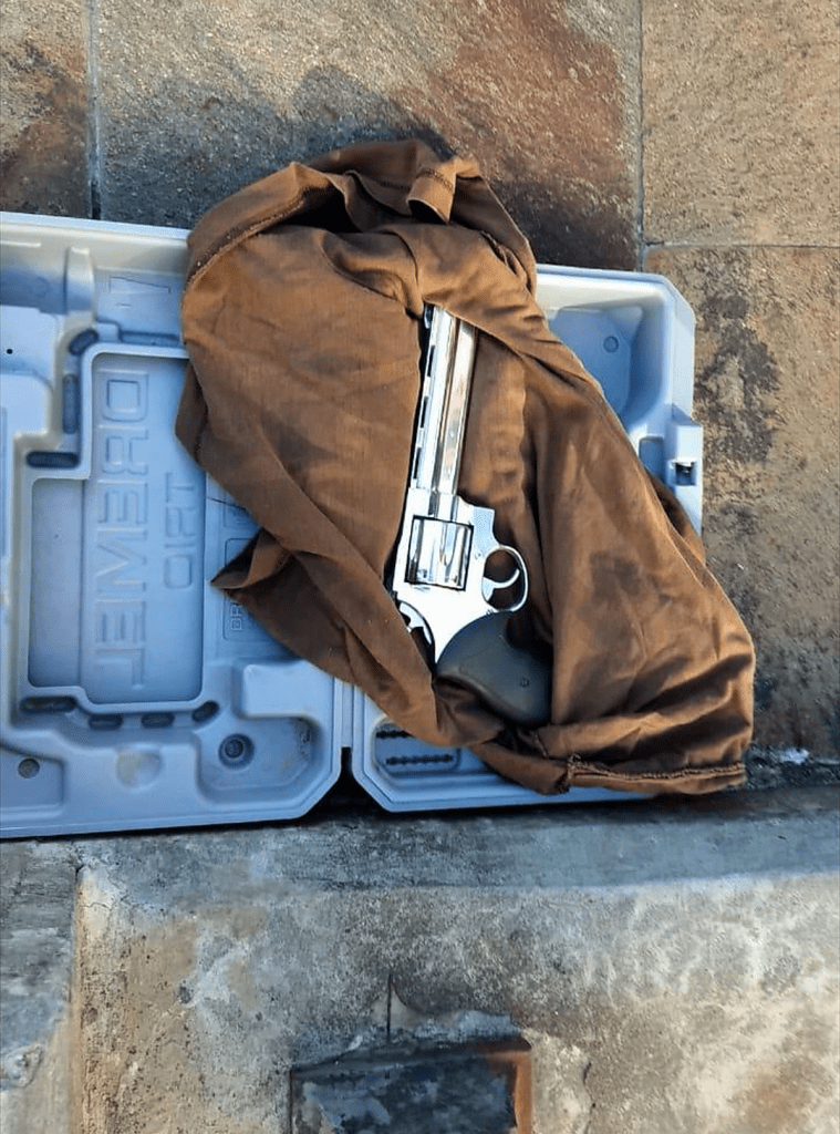 Detuvieron a un hombre que intentó ingresar armado a Casa Rosada 4