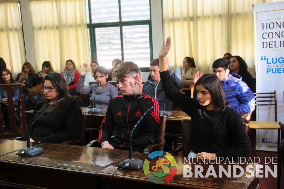 BRANDSEN: Juró el Parlamento Juvenil 2019 6
