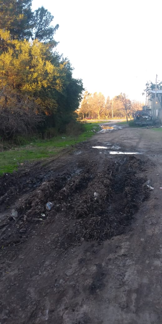 Raitelli: "Es necesario arreglar urgente las calles de Brandsen" 4
