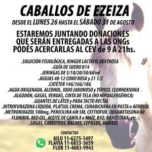 Lanzan una campaña solidaria para auxiliar a los caballos rescatados en Ezeiza 4