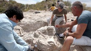 Encuentran restos fósiles de un Titanosaurio de 85 millones de años en Neuquén 4