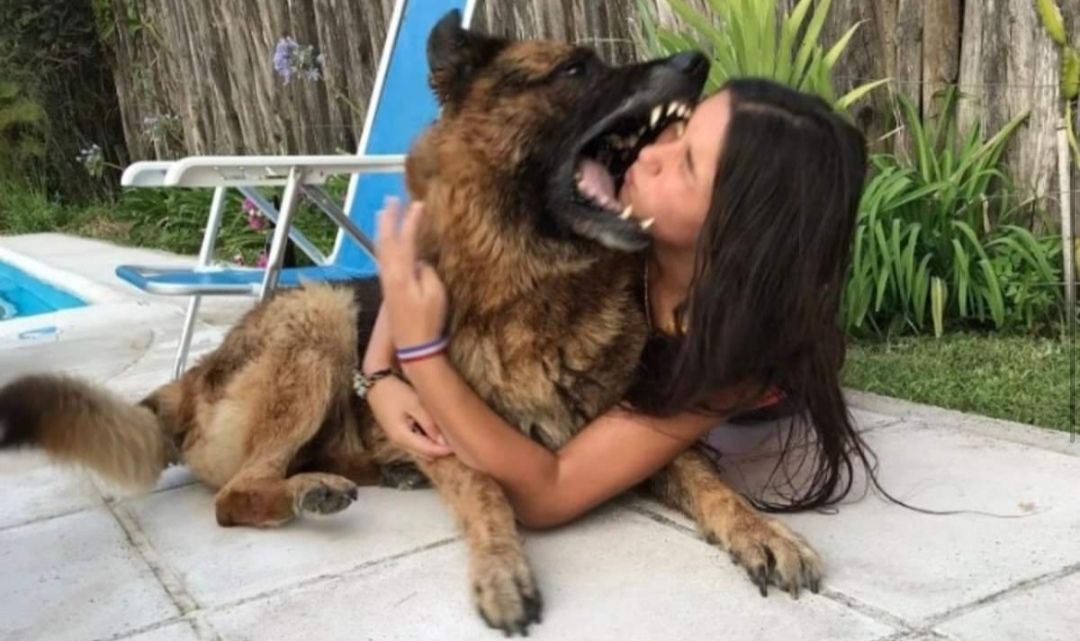 Hacía una sesión de fotos con su perro, pero el animal se enojó y la atacó salvajemente 14