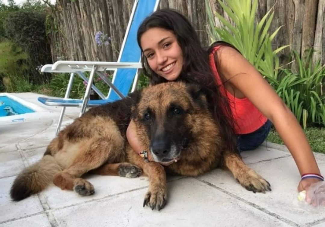 Hacía una sesión de fotos con su perro, pero el animal se enojó y la atacó salvajemente 12