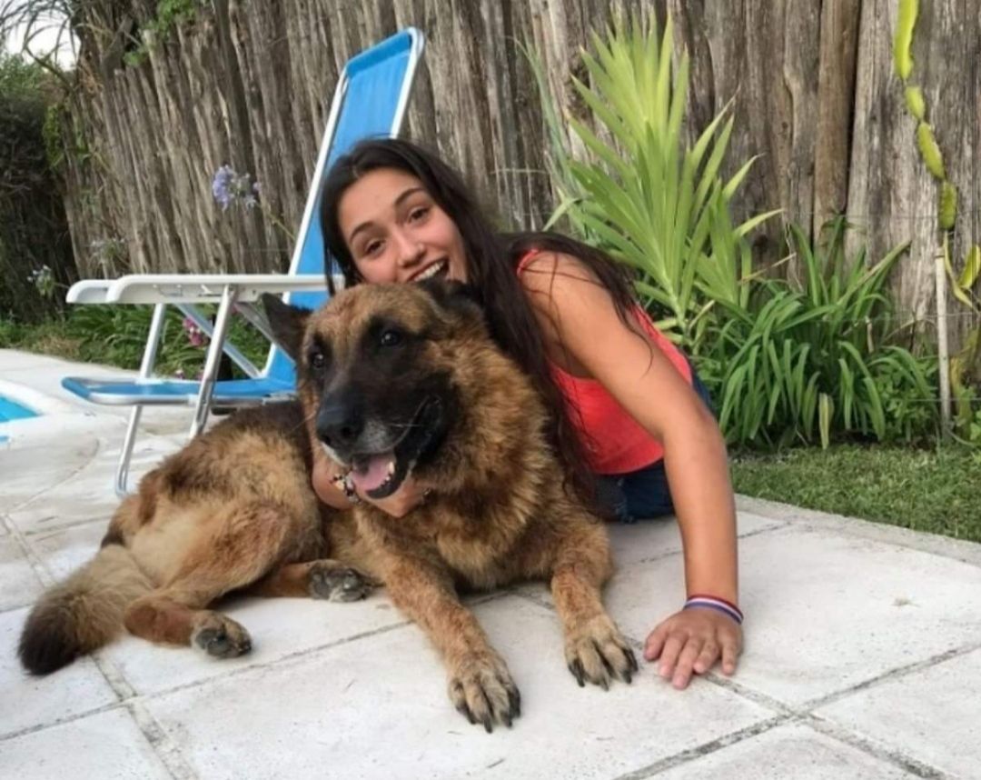 Hacía una sesión de fotos con su perro, pero el animal se enojó y la atacó salvajemente 13