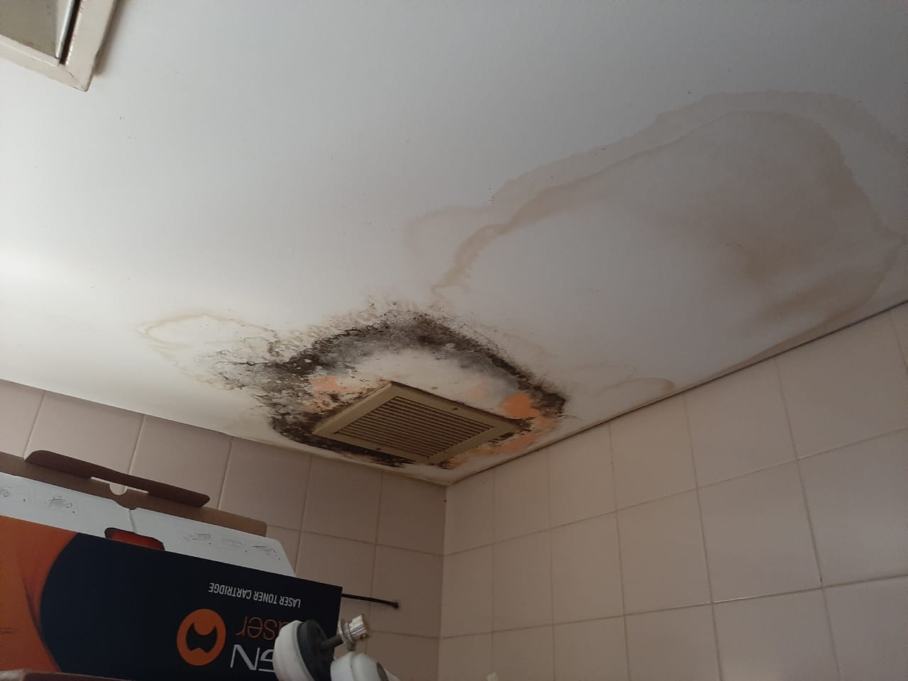 Preocupación en San Vicente por el estado del hospital local 19