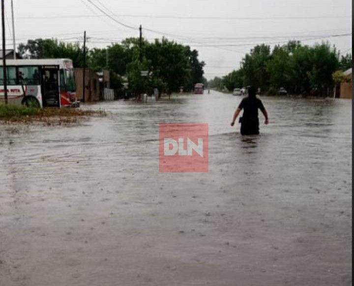 Temporal en Brandsen: evacuados, voladuras de techos, árboles caidos y calles anegadas 2
