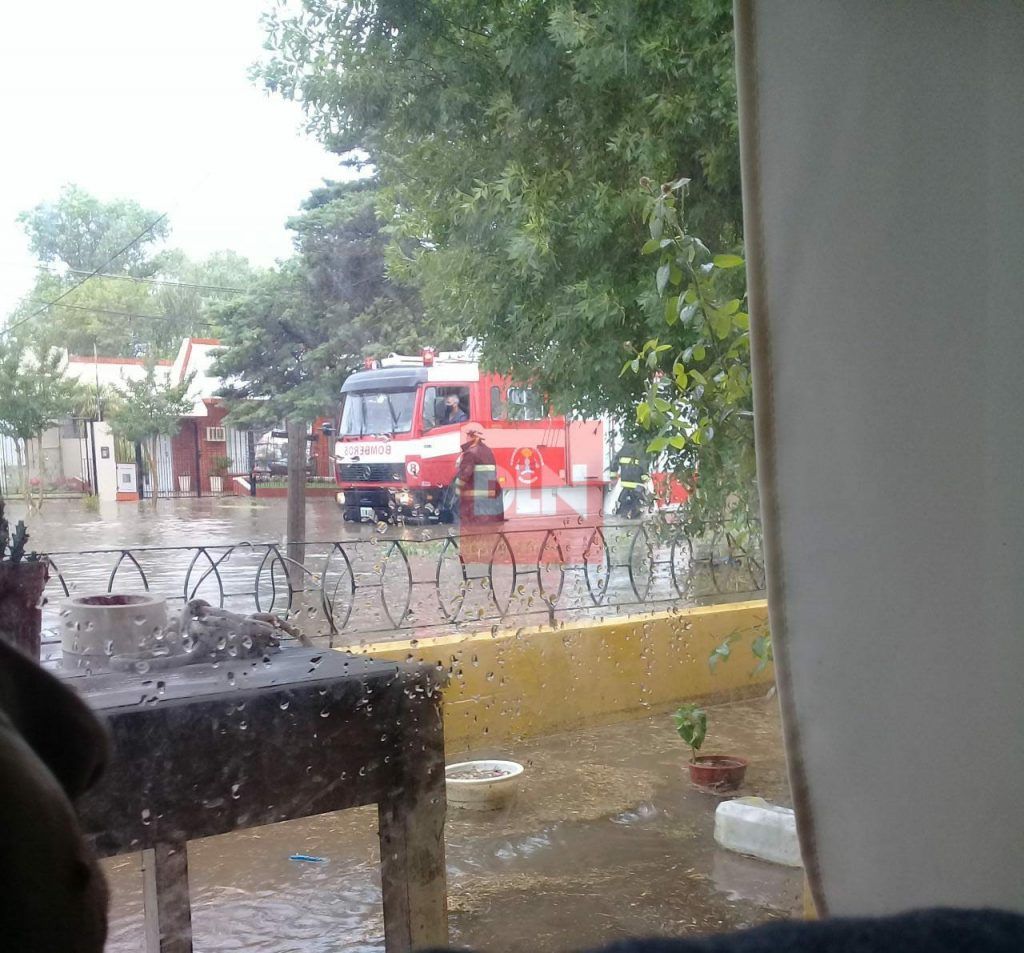 Temporal en Brandsen: evacuados, voladuras de techos, árboles caidos y calles anegadas 5