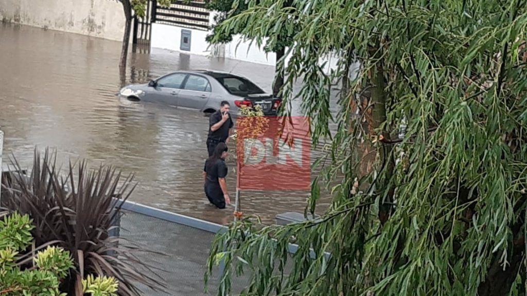 Temporal en Brandsen: evacuados, voladuras de techos, árboles caidos y calles anegadas 4