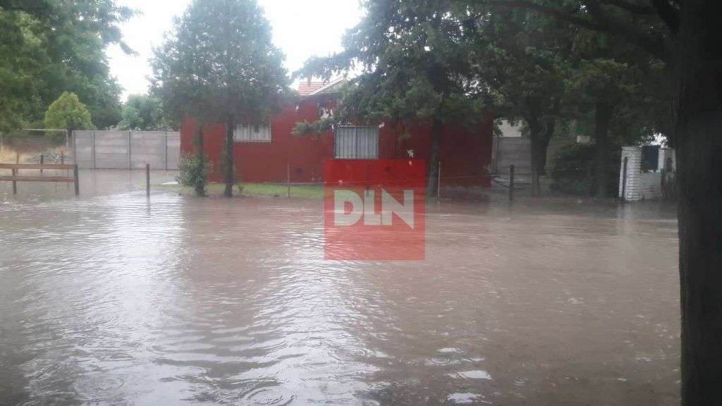 Temporal en Brandsen: evacuados, voladuras de techos, árboles caidos y calles anegadas 3