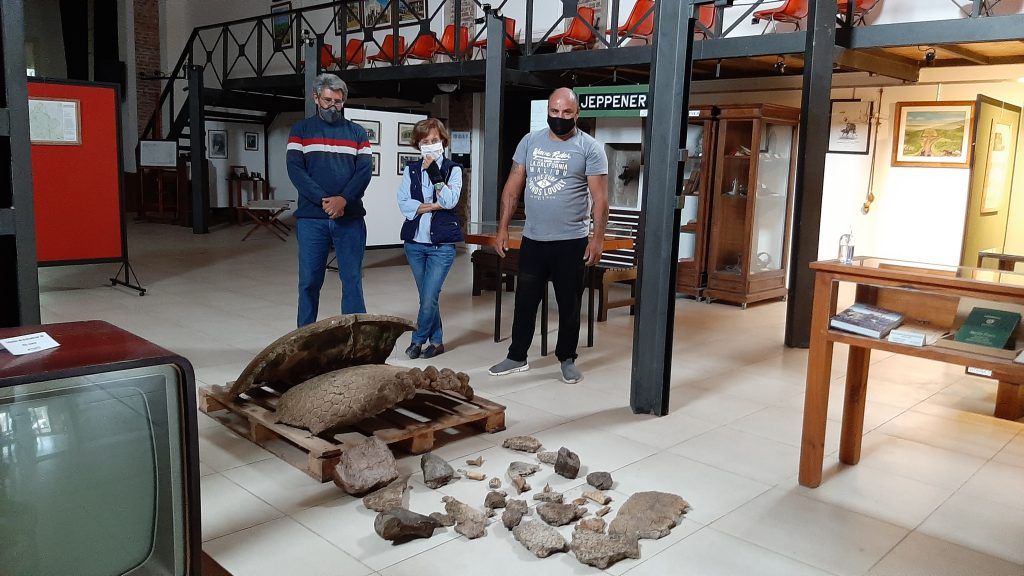 BRANDSEN: Caminaba por el Samborombón y encontró restos fósiles de un gliptodonte 2