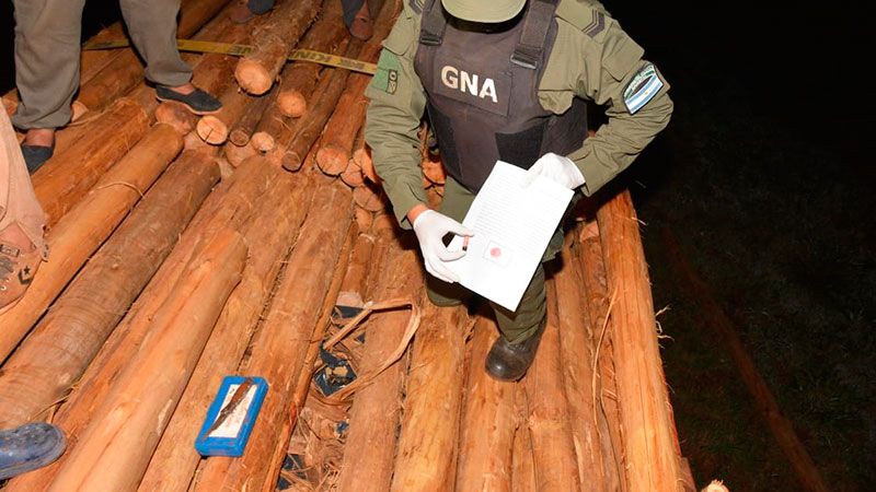 Pareja de Brandsen trasladaba tres toneladas de marihuana oculta en un cargamento de madera 3