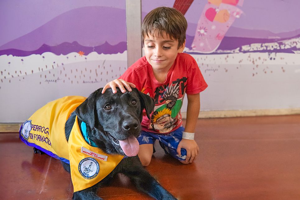 El Garrahan implementa por primera vez la terapia asistida con perros para pacientes internados 4
